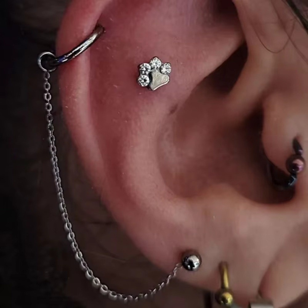 Tytanowy łańcuszek do nosa, tr – Body Jewelry And Piercing recenzja i cena